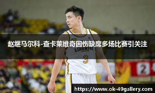 赵继马尔科-查卡莱维奇因伤缺席多场比赛引关注
