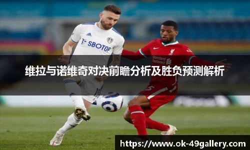 维拉与诺维奇对决前瞻分析及胜负预测解析